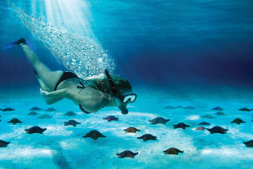 Cozumel Adventure