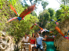 Cargar imagen en el visor de la galería, Xcaret | Plus