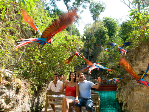Xcaret | Plus